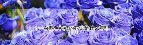 探秘嘴唇花的花语（嘴唇花的含义与象征）