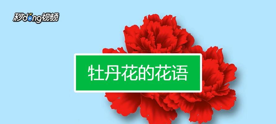 牡丹花的花语和寓意（花开富贵，花谢不凋）