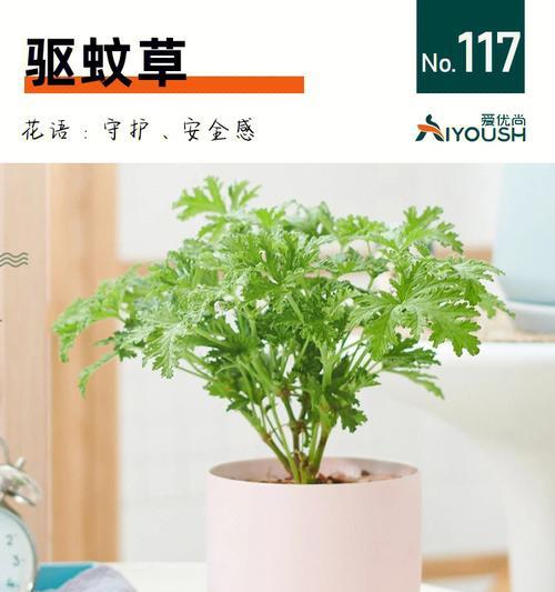 驱蚊草的植物学研究（探索天然有效的驱蚊草，保障健康安全）