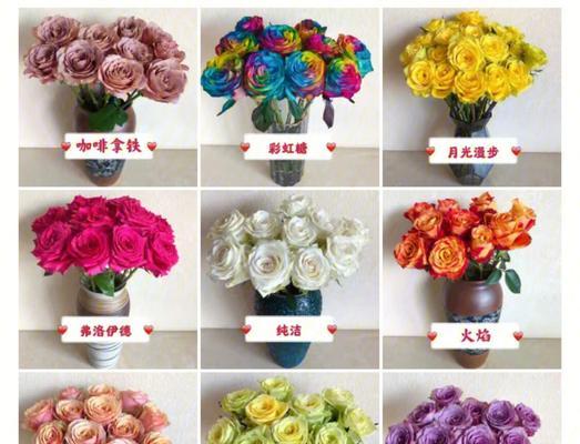 玫瑰花品种大全（探寻世间绚烂多彩的玫瑰花）