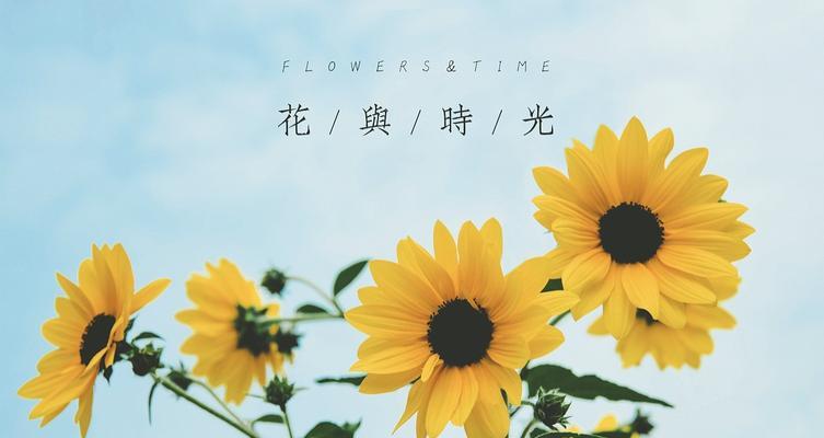 一朵向日葵的花语（探寻向日葵的神秘含义）