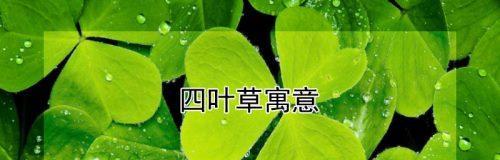 四叶草的寓意（探究四叶草的内涵及其象征意义）