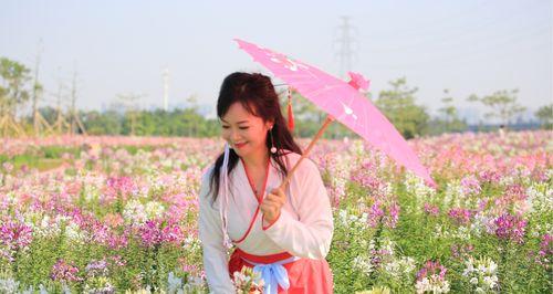 醉蝶花的种植方法（打造缤纷花海，赏花体验新高度）