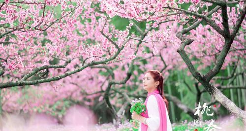 桃花的花语和寓意——传递爱与希望的桃花之语（桃花的象征含义及其在文化中的重要作用）