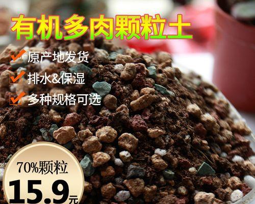 选择什么土壤才能让多肉植物健康成长？