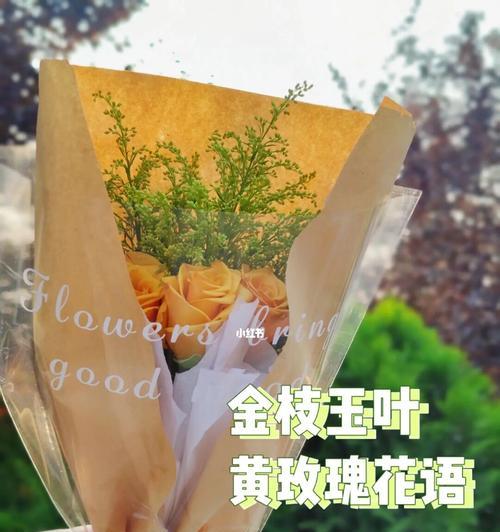 黄玫瑰花语——阳光与快乐的象征（传递温暖和希望的黄玫瑰花语）