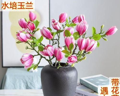 如何养好玉兰花（从选地到修剪，让你轻松打造美丽花园）