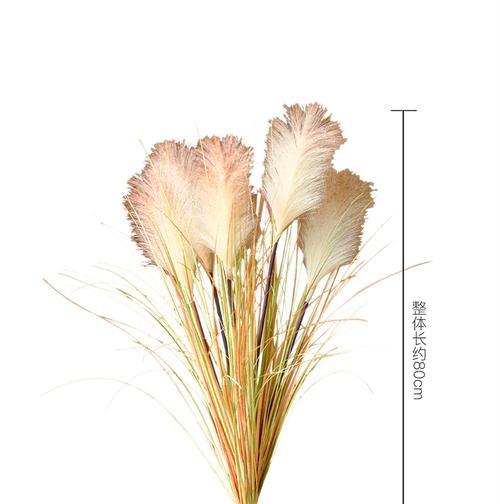 芦苇的花语和用途（探索芦苇的多样性和应用价值）