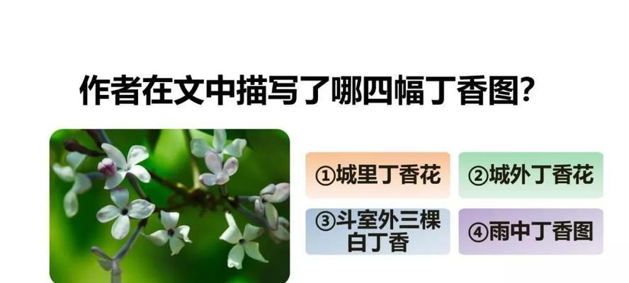 丁香花的特点和样子（关于丁香花介绍）