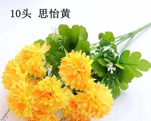 花语悠悠，以花代表想念（深情寄语）