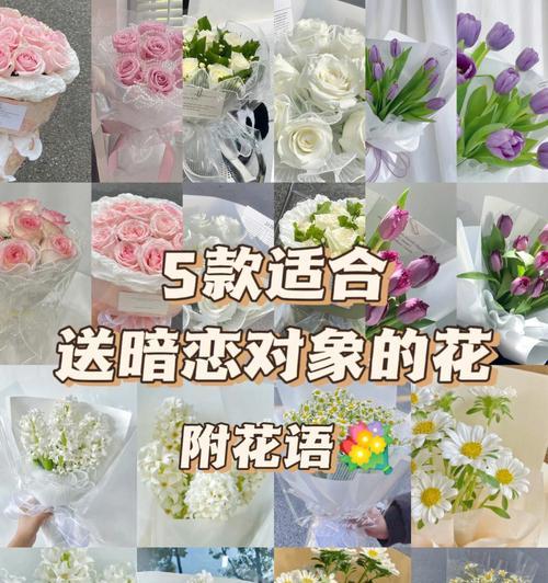 《暗恋男生之花语探秘》（揭开花语之谜）