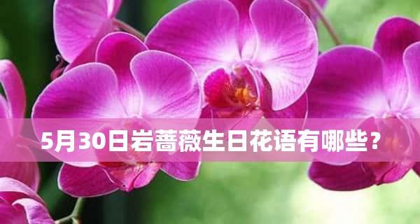 以牵牛花的花语为主题，探讨成长之路（在成长的路上）