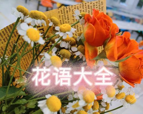 以百合花为主题的复合花语（百合花的花语及其在复合关系中的象征意义）