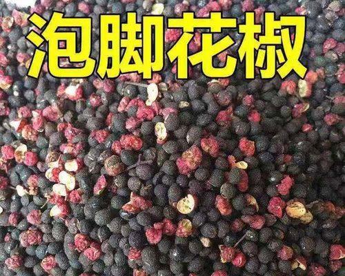 花椒籽怎么种发芽最快（花椒籽正确的栽种方法）