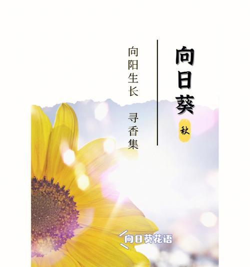 向日葵花语（阳光之花）