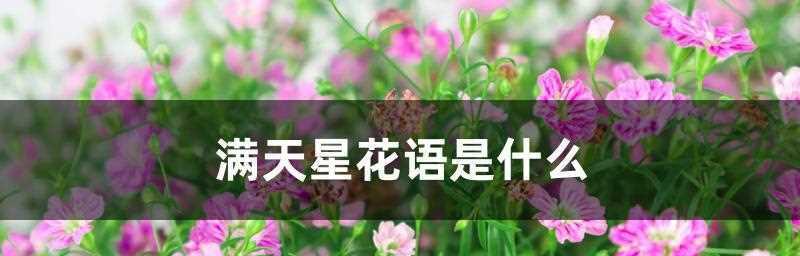 初恋的花语——以玫瑰花为主题的思恋之情（那份初恋情感）