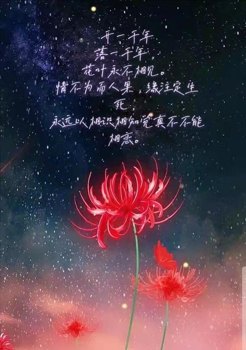 拒绝的花语——以雏菊为例（雏菊的花语与拒绝）