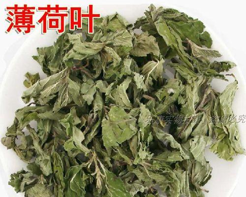 薄荷叶子发黑干枯怎么办（薄荷枯黄的原因和解决方法）