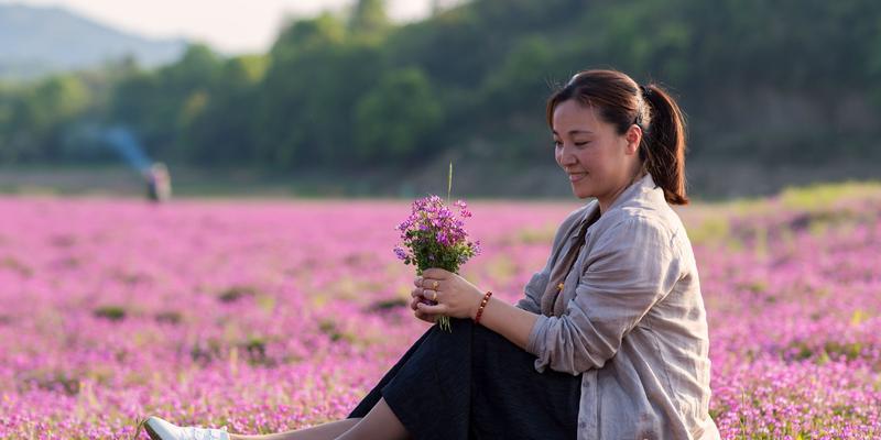 紫云英的花语（传递祝福与美好的紫云英花语）