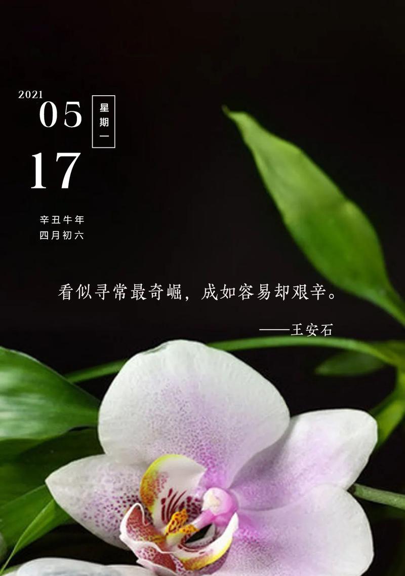 加油的花语（揭秘加油神器花语语言）