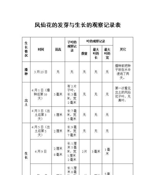 太阳花的生长周期（从种子到开花）