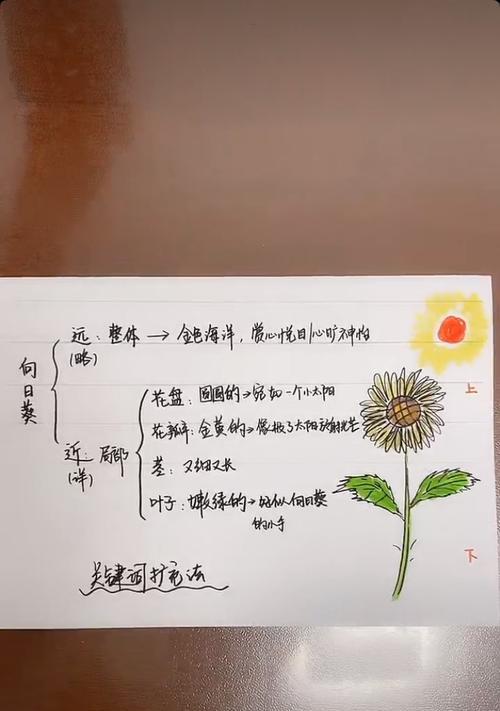 太阳花的花期与开花次数（探究太阳花的生长规律及种植技巧）