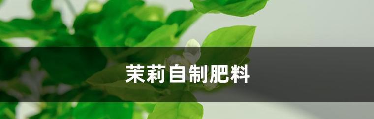 废油可以成为高效肥料吗（从环保）