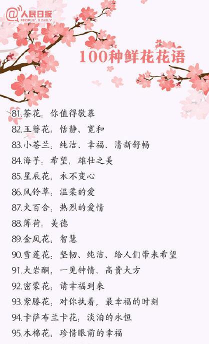 碗莲的花语与寓意（探索碗莲花朵中所蕴含的深意）