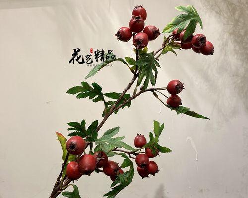 酸枣成熟季节（探寻酸枣的生长周期和收获技巧）