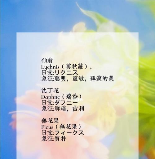 梅花的网名花语是什么？梅花的寓意是什么？