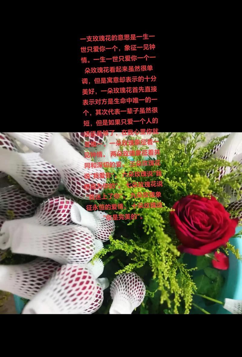 什么花代表一生一世？这种花的花语是什么？