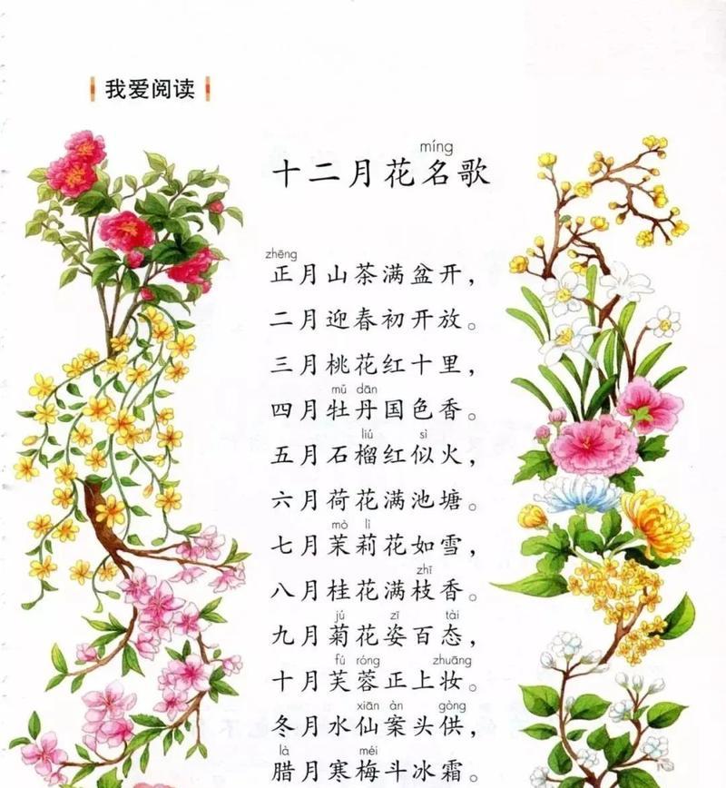 白蔷薇的花语是什么？白蔷薇有哪些代表意义？