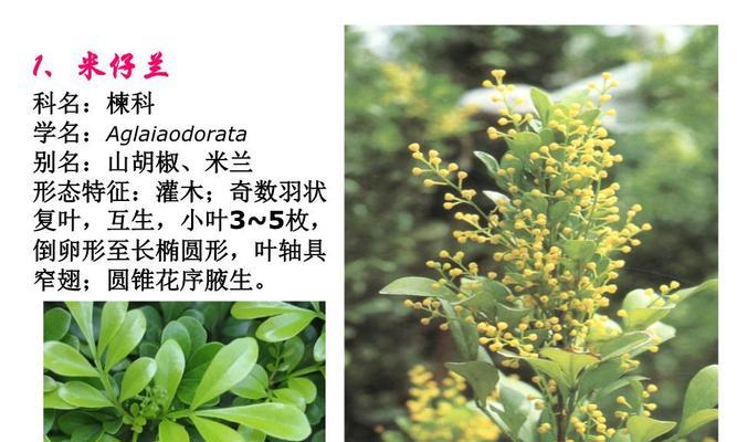 园林植物品种多有什么意义？园林植物品种多有哪些好处？