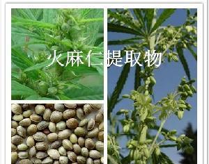 火麻仁是什么植物类别？火麻仁的植物学分类是什么？