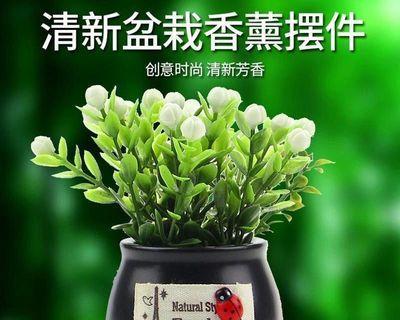 车上适合放什么植物？适合车内摆放的植物有哪些？