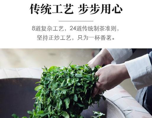 乌龙茶采摘时间和收获季节是什么时候？乌龙茶的采摘方法和注意事项是什么？