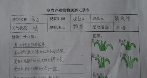 西兰花的种植方法和时间是什么？西兰花种植注意事项有哪些？