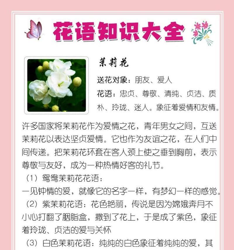 杜鹃花语是什么？它代表了哪些含义？