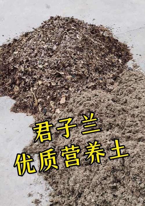 花盆土上的黄白色东西是什么？如何识别？