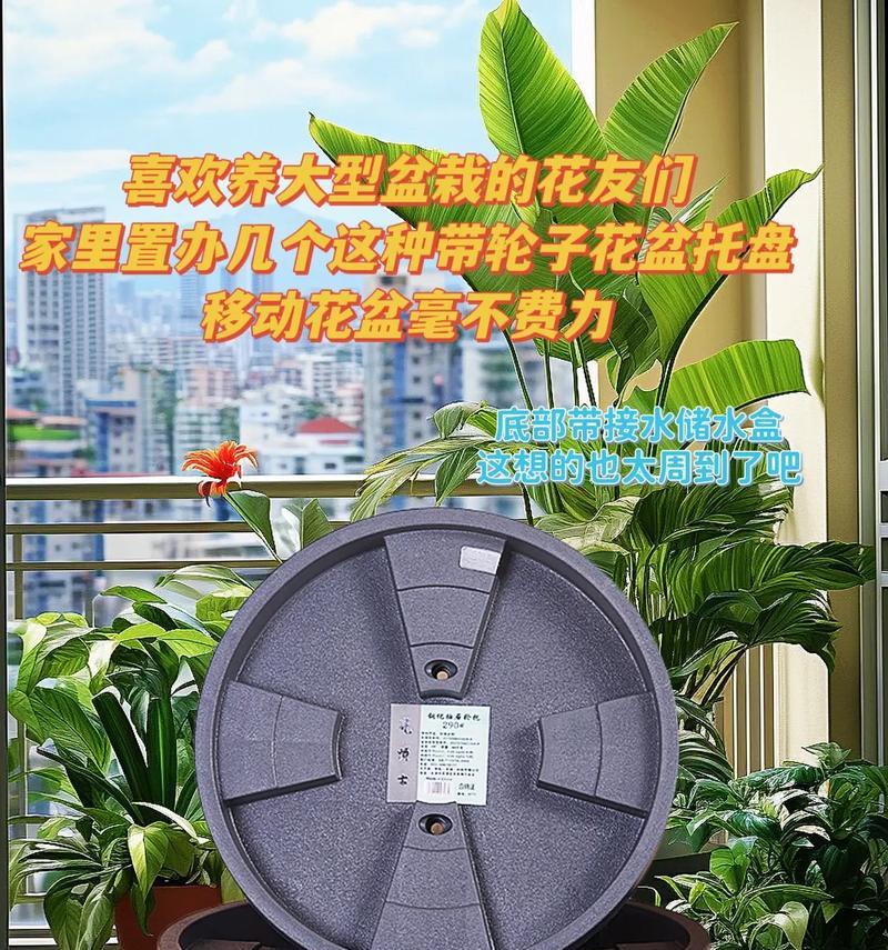 带托盘花盆异味怎么去除？有效方法有哪些？