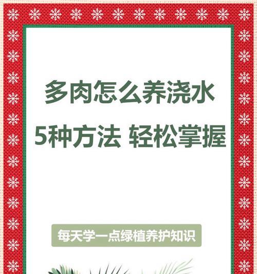 花盆浇水后不透水怎么办？如何检查和解决？