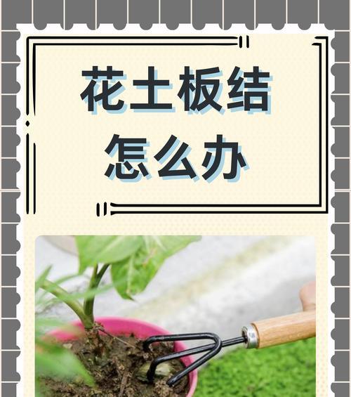 花盆的土板结了怎么办？如何防止花盆的土板结？