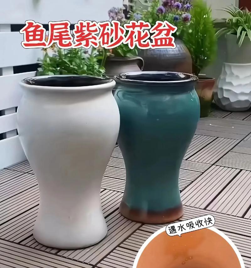 圆形盆直筒紫砂花盆适合哪些植物？如何正确养护？