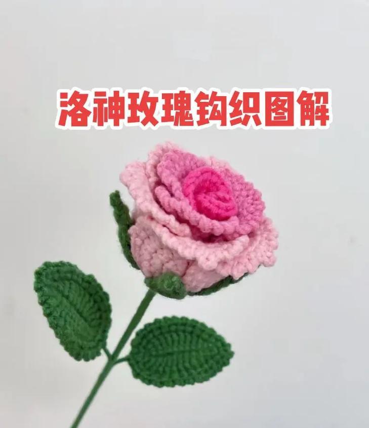 如何用玫瑰花编织故事？有哪些简单又好看的创意方法？