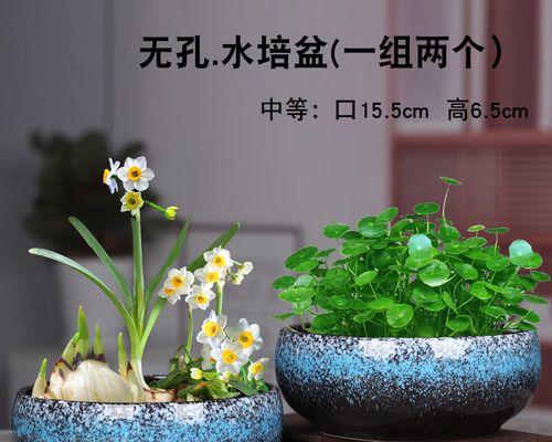 带托堵孔的花盆如何使用？使用时应注意什么？