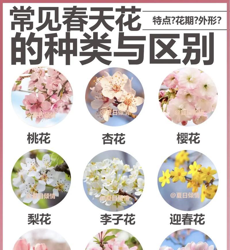 如何判定花草的类型和品种？花草分类有哪些标准？