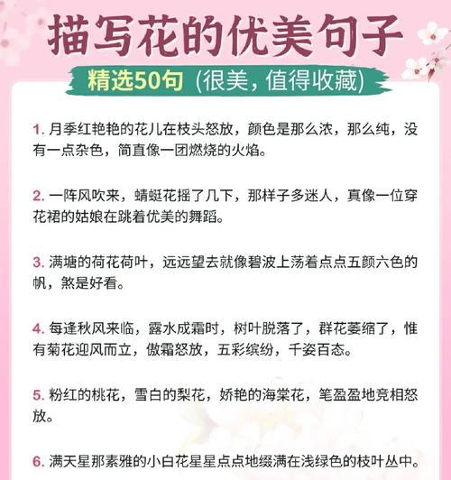 雨后海棠花的美句有哪些？推荐几个短句？