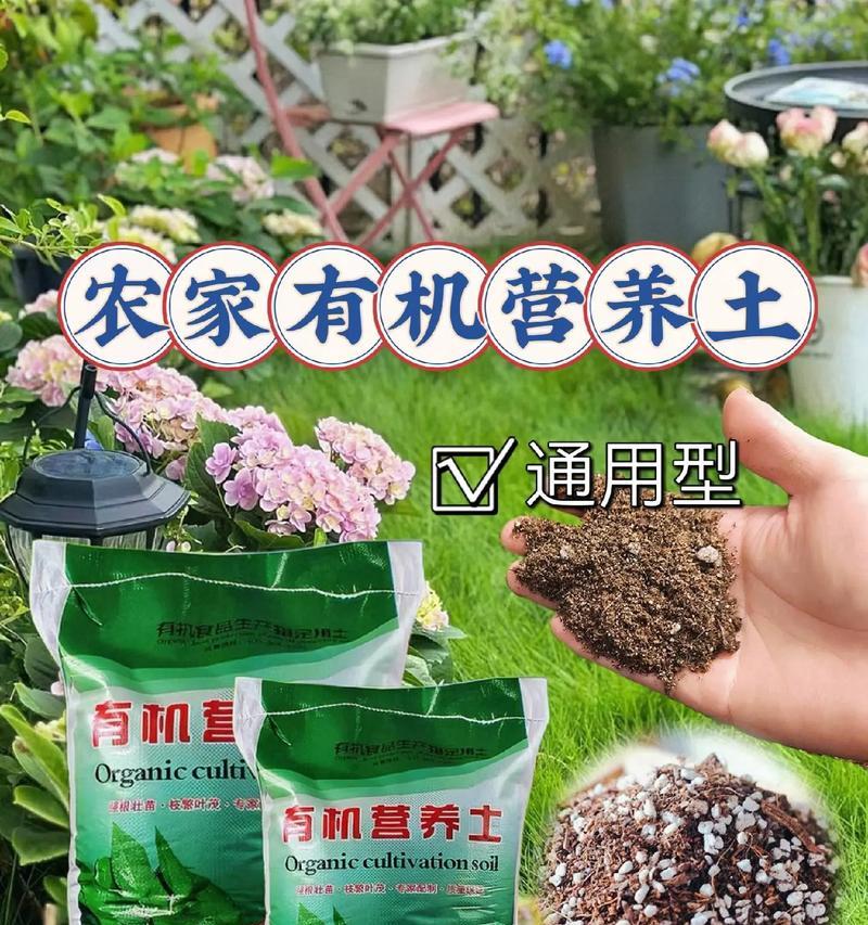 花盆边土成粉末状像粪便的原因是什么？