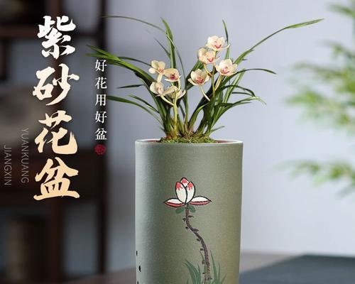 圆形盆直筒紫砂花盆适合养哪些植物？正确养护方法是什么？