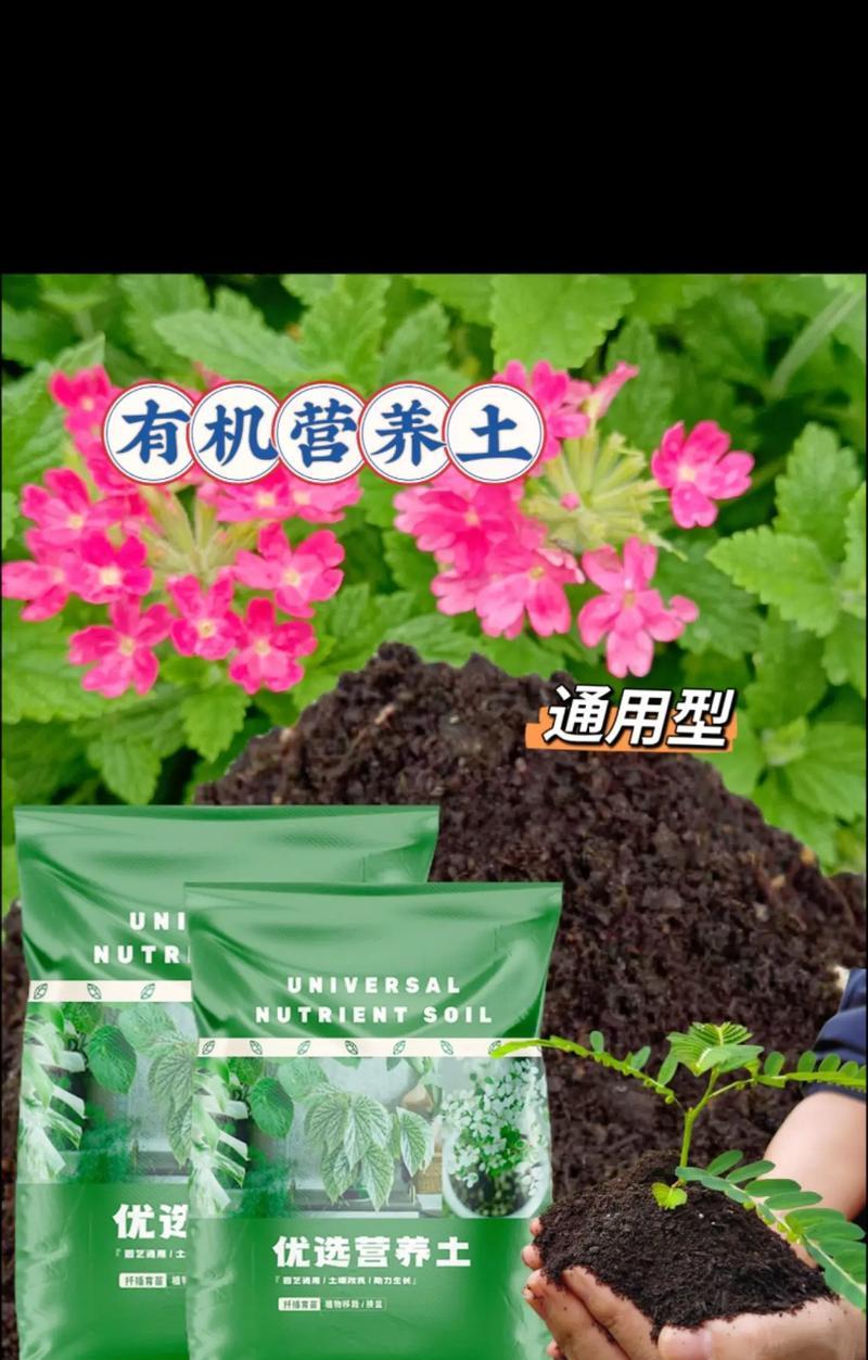 月季花盆中的黄色颗粒是什么肥料？如何正确使用？